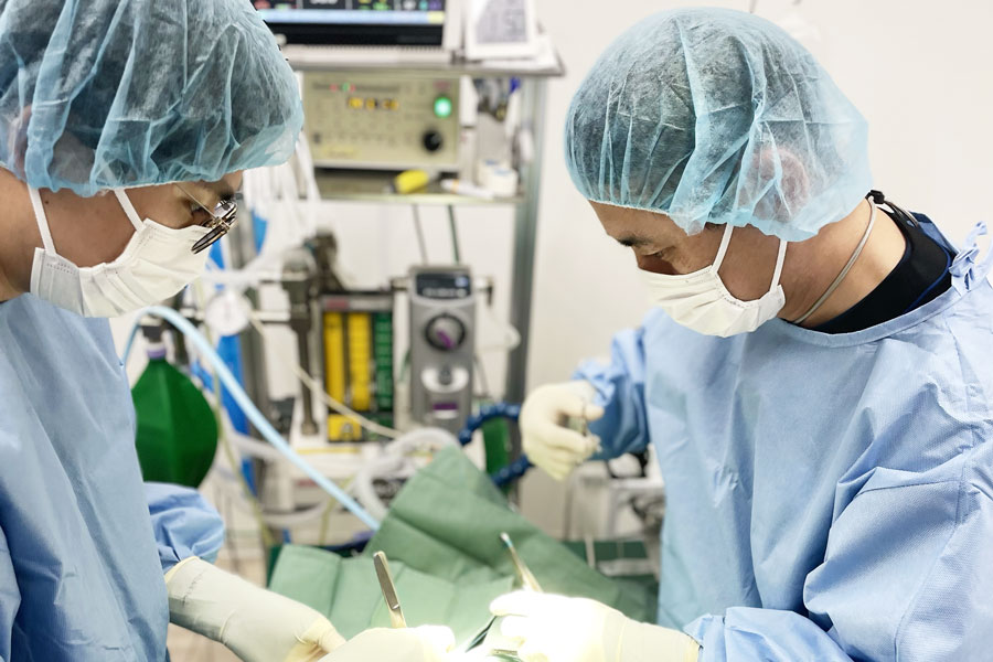 獣医腫瘍外科Surgical Oncology